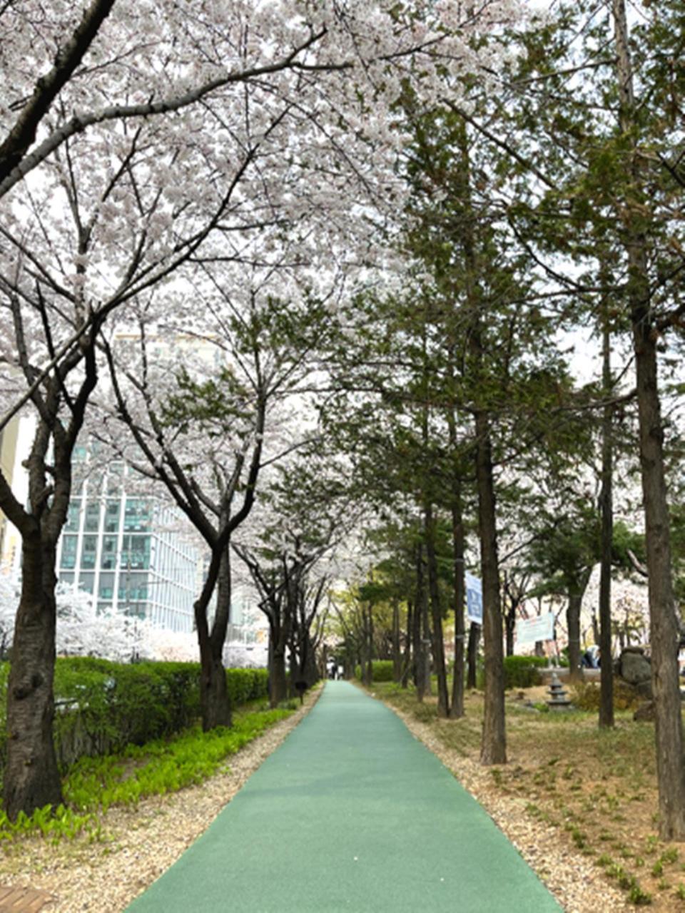 ホテル Jeongdam ソウル特別市 エクステリア 写真